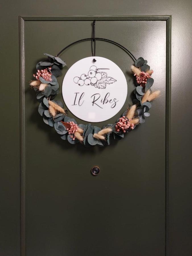 Residence Dei Frutti Pieno Centro - Il Ribes بادوفا المظهر الخارجي الصورة